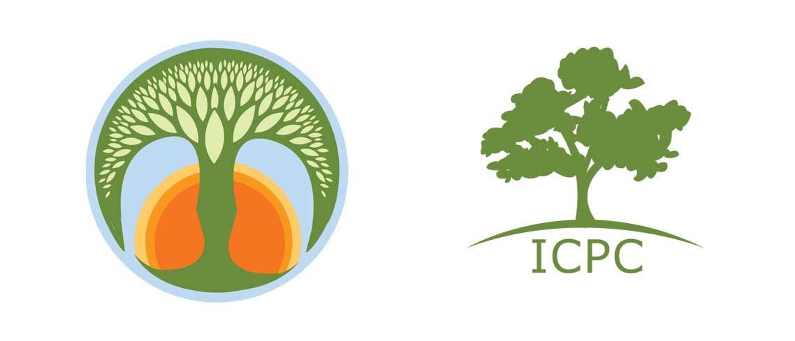 St. Jude Children's Research Hospital Palliative Care Icon Alterantes